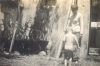 jan 37 een handige manier om Bubi te baden met de tuinslang